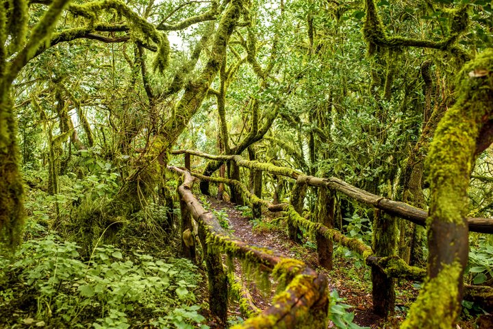 Nationalpark Irazu  in Costa Rica
