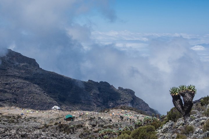 Lava Tower Camp Machame Route