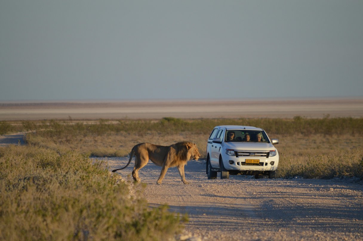 Self drive in Namibia