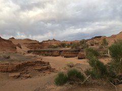 Die Südgobi-Wüste zeigt eine weite, trockene Landschaft mit rotem Sand, einigen grünen Pflanzen und grauem Himmel