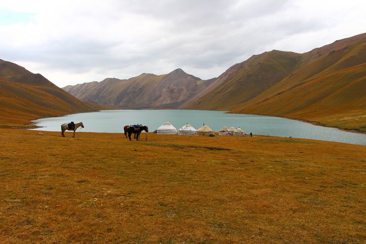 Mehre Pferde und Jurten stehen am Gebirgssee Kol Ukok in Kirgistan