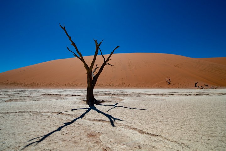 Deadvlei in Namibia