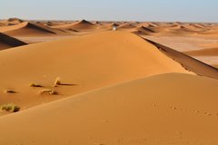 Weit und breit nur Dünen