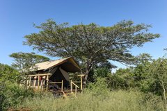 Permanentzelt der Zululand Lodge in Südafrika
