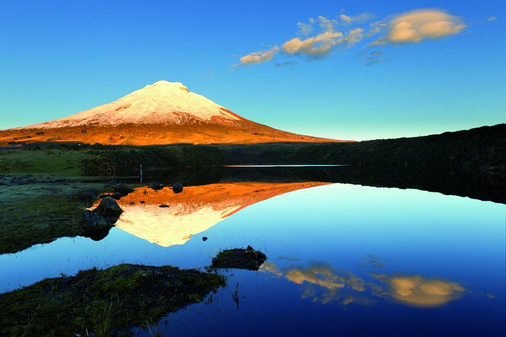 Der perfekte Vulkan Cotopaxi spiegelt sich in einer Lagune