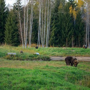 Wildes Estland Wildes Estland