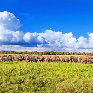 Natur, Kulturschätze und tropische Strände Natur, Kulturschätze und tropische Strände
