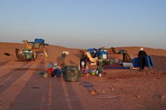 Team am Dromedar beladen in der Wüste Marokkos