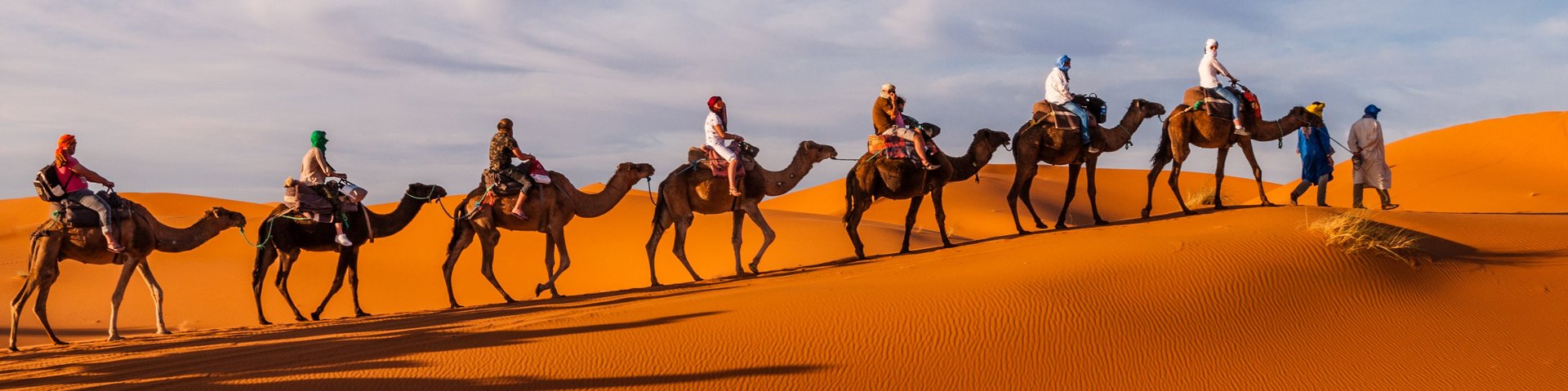 Karawane mit mehreren berittenen Kamelen in der Sahara-Wüste in Marokko