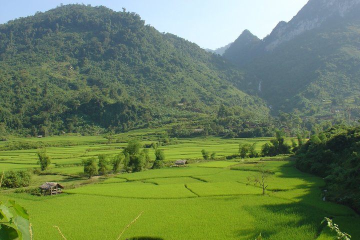 Grüne Landschaft mit Feldern und Hügel in Vietnam