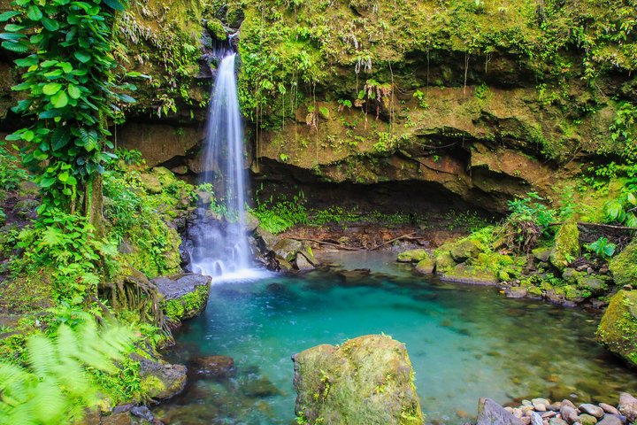 Wasserfall im Dschungel und Emerald Pool auf Dominica