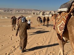 Unterwegs mit den Kamelen