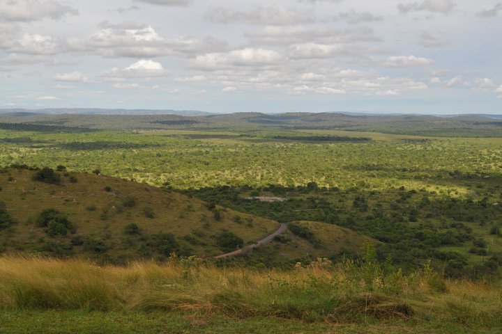 Sicht auf den Lake-Mburo-Nationalpark in Uganda