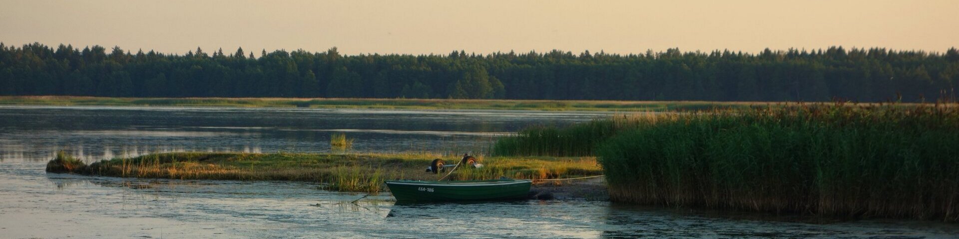 Kleiner Bootssteg in Estland