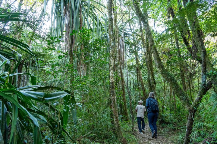 Unterwegs mit Guide im Ranomafana-NP auf Madagaskar