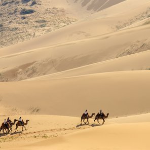 Kameltrekking in der Wüste Gobi Kameltrekking in der Wüste Gobi