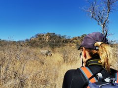 Nashorn fotografieren im Matobo-Nationalpark