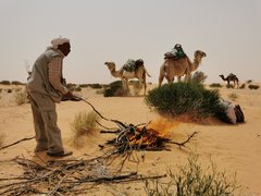 Feuer mit Kamele in der Wüste