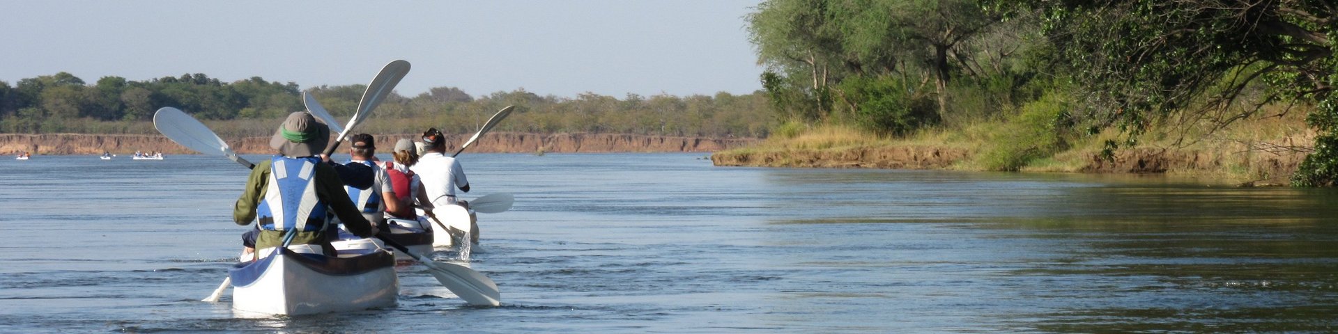 Kanufahrt auf dem unteren Sambesi-Fluss Kanus paddeln auf dem unteren Sambesi-Fluss
