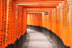 Dir Roten Torbögen vom Fushimi Inari Schrein in Japan