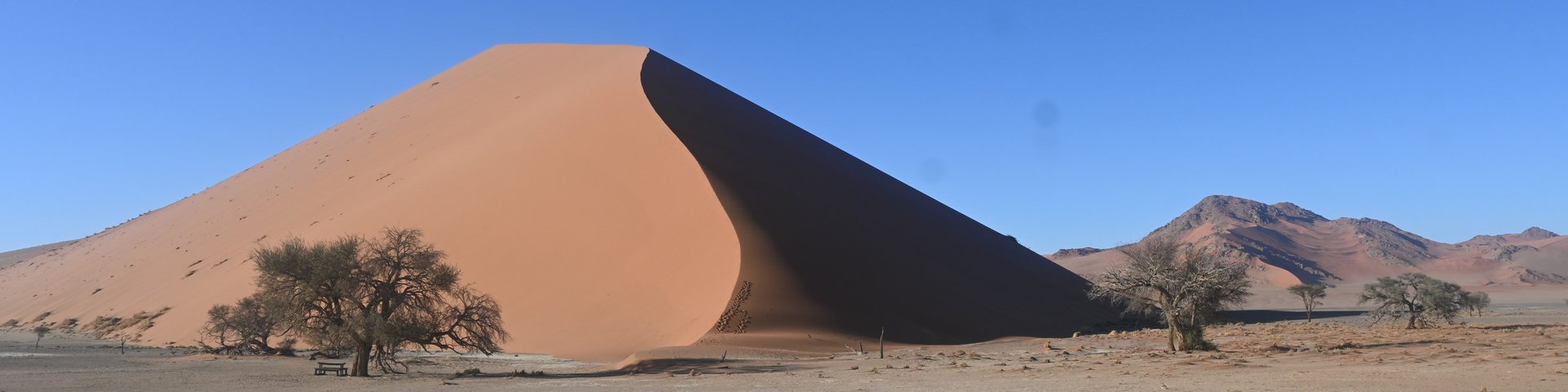 Düne in der Namib-Wüste