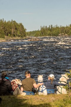 Huskies und Reisegäste sitzen am Flussufer