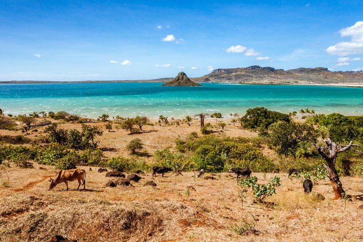 Lemurenparadies & Inselträume auf Madagaskar