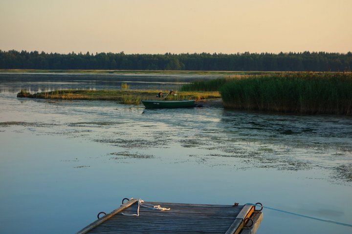 Wildes Estland