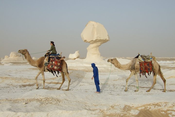 Unterwegs mit Kamelen in der Weisse Wüste