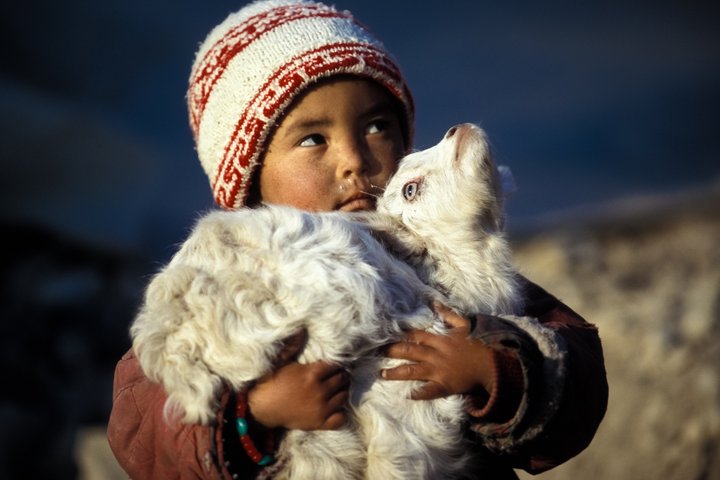 Schöne Begegnungen mit Kindern in Ladakh 