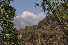 Blick vom Tiefland in den Himalaya bei Gurung