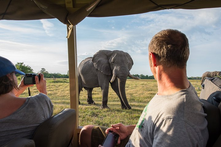 Elefant aus Safariauto mit zwei Personen