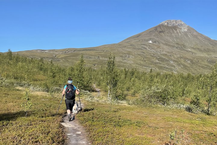 Wanderin in der Natur Norwegens