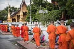 Mönche in orangen Gewändern gehen eine Strass in Laos entlang