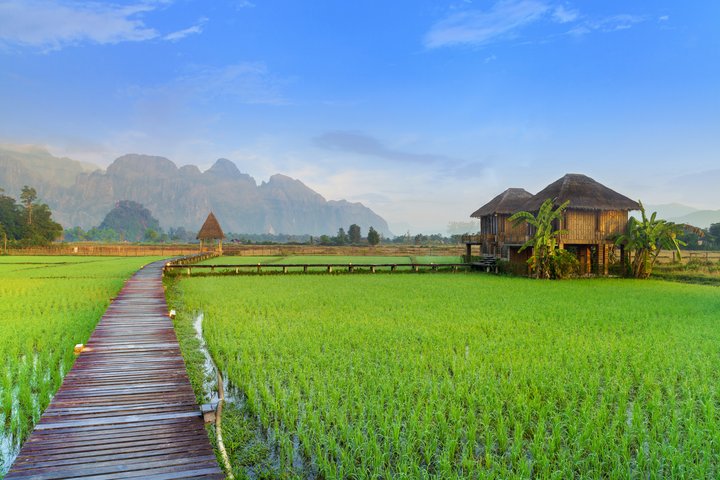 Pfad durch ein Reisfeld in Dorf Vang Vieng in Laos