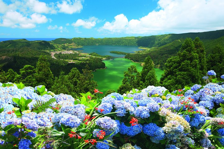 Blumen blühen vor den Lagunen der Sete Cidades auf den Azoren