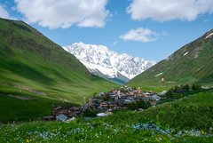 Blumenwiese vor dem Dorf Uschguli und dem Berg Schchara Blumenwiese vor dem Dorf Uschguli und dem Berg Schchara