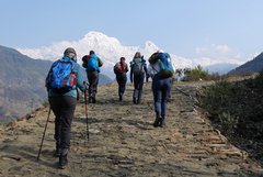 Wanderer in Nepal vor Bergpanorama