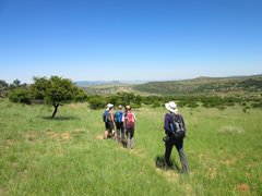 Wanderer auf grüner Fläche der KwaZulu-Natal Schlachtfelder