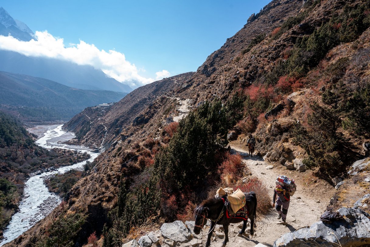 Tragtiere Nepal