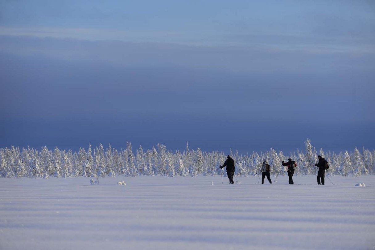 Waldski in Lappland