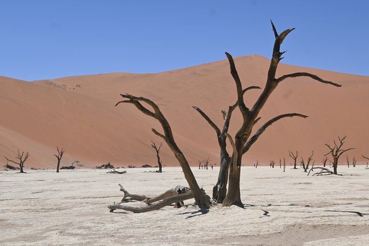 Deadvlei in der Wüste-Namib