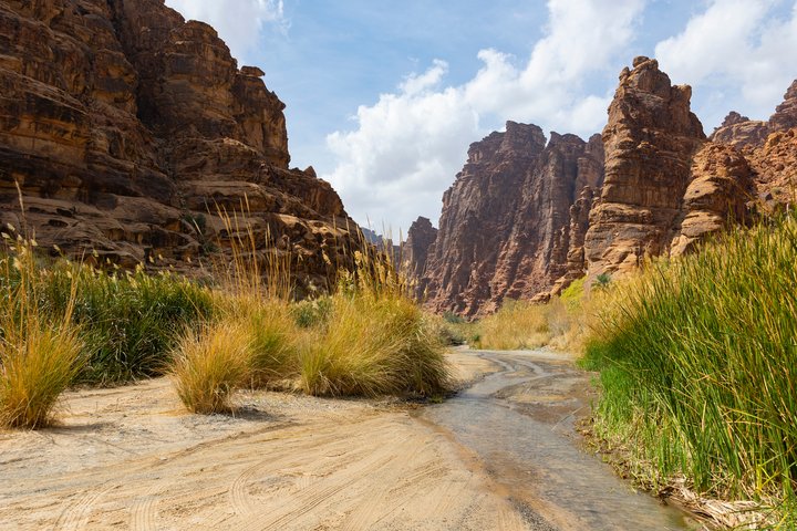 Wadi mit kleinem Fluss in Saudi-Arabien
