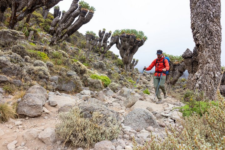 Rasanter Abstieg vom Kilimanjaro