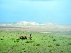Ein Nomade in der Mongolei mit seinen Kamelen