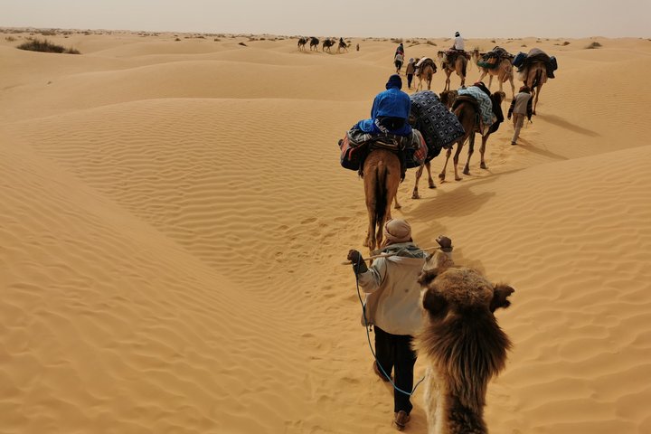 Reitend auf einem Kamel