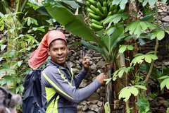 Guide Fredson erklärt Pflanzen