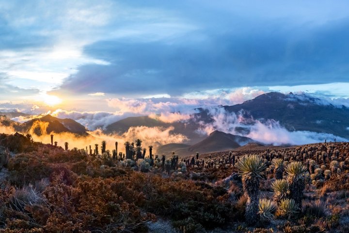 Mystische Stimmungen im Los Nevados Nationalpark - Kolumbien
