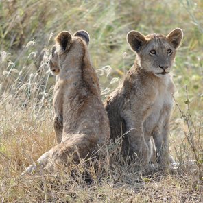 Die Highlights im Norden – Lodge-Safari Die Highlights im Norden – Lodge-Safari