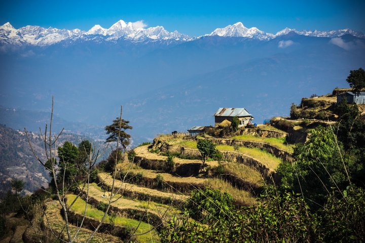 Terrassierte Felder mit schneebedeckten Himalayagipfeln im Hintergrund